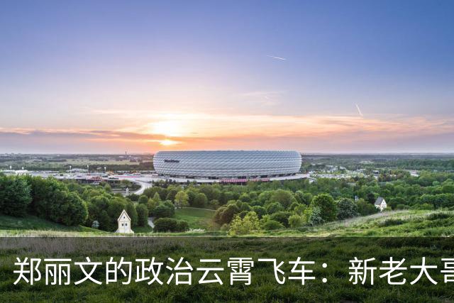 郑丽文的政治云霄飞车：新老大哥的出奇招与内鬼的翻盘